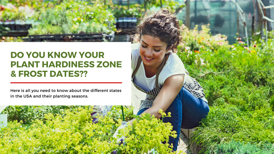 Do you know your planting zone and your frost date?